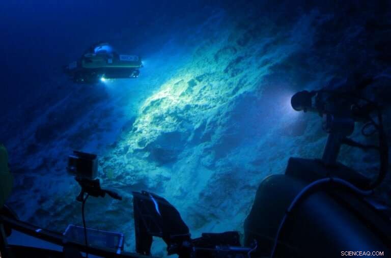 Deep‑Sea Expedition Uncovers Hidden Treasures of the Indian Ocean