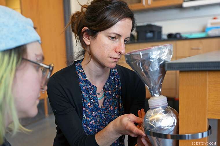 Tropical Rainfall Unveiled: Past Patterns and Present Dynamics