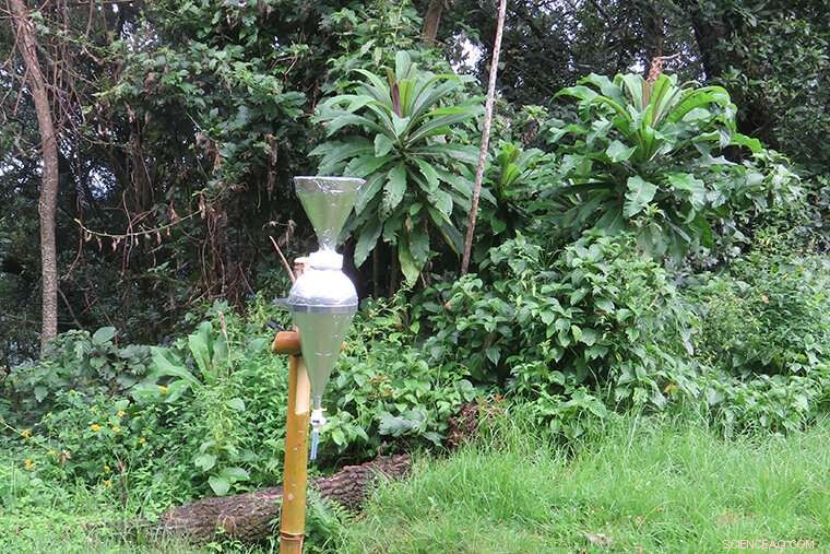 Tropical Rainfall Unveiled: Past Patterns and Present Dynamics