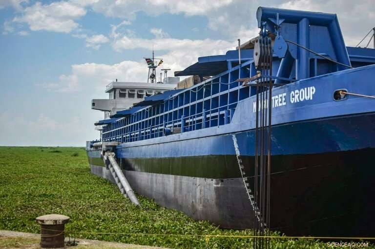 Lake Victoria Faces Algal Bloom Threat: A Green Menace Erodes Africa’s Blue Heart