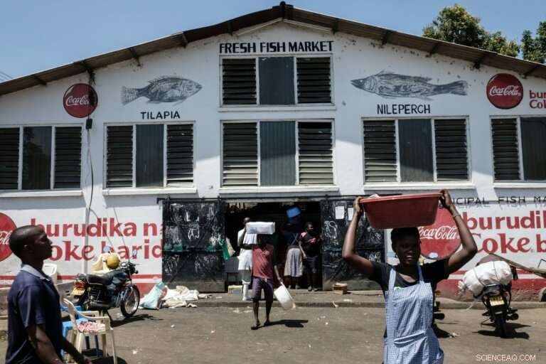 Lake Victoria Faces Algal Bloom Threat: A Green Menace Erodes Africa’s Blue Heart
