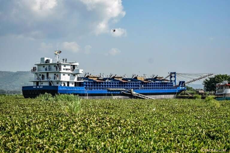 Lake Victoria Faces Algal Bloom Threat: A Green Menace Erodes Africa’s Blue Heart