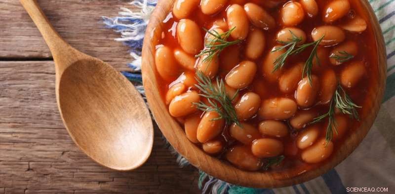 Pulses: Health Benefits and Environmental Advantages