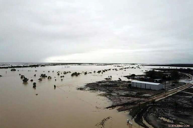 Australian Floods Threaten Hundreds of Thousands of Drought‑Stressed Cattle