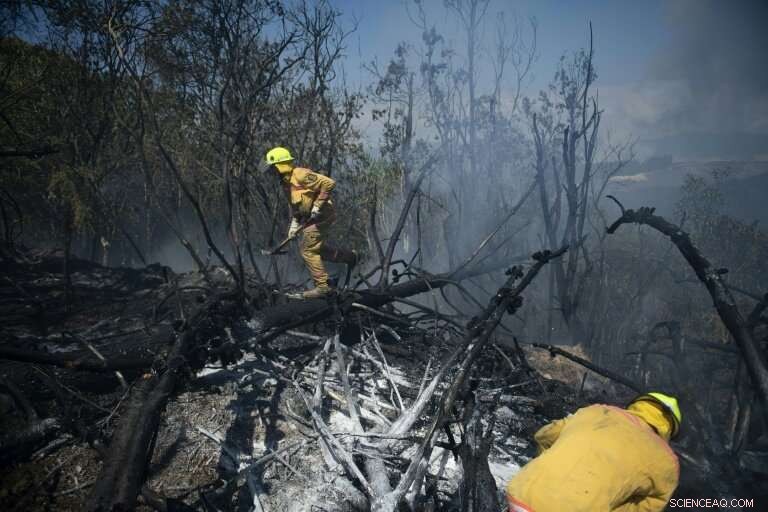 New Zealand Wildfire to Persist for Weeks as Evacuated Villagers Return