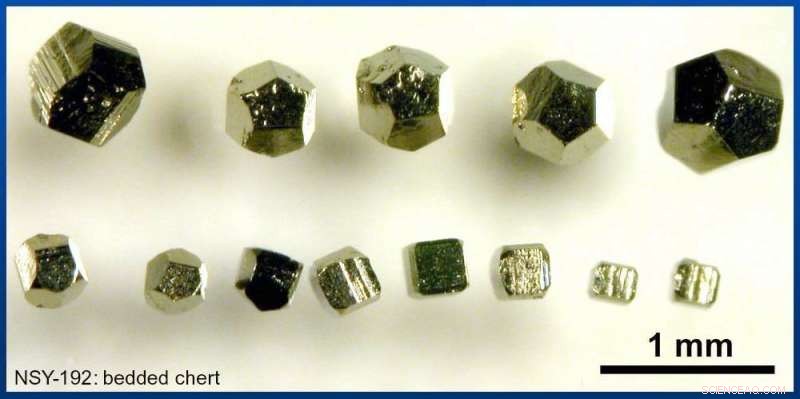 New Study Reveals Life Thrived on Earth 3.5 Billion Years Ago