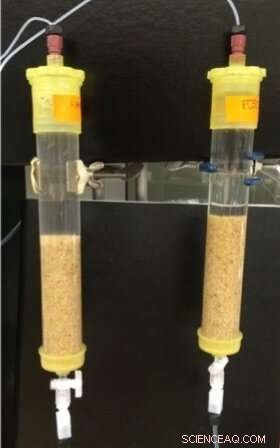 New Water Purification Technology Protects Communities from Lake Erie Algal Toxins