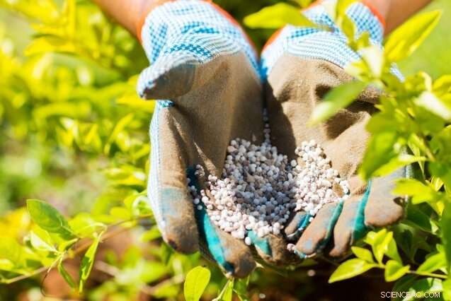 Revolutionary Fertilizer Production Method Tailored for African and Global Farms