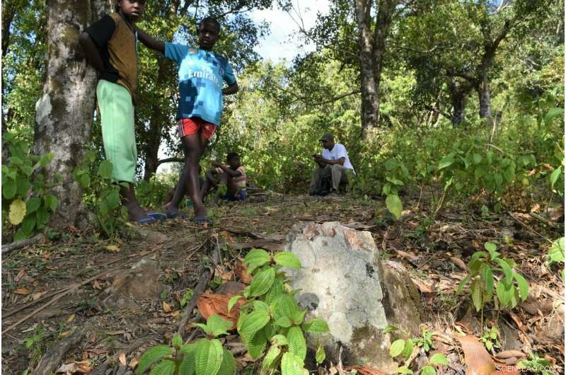 Scientists Discover Mysterious Quartzite Formation on Remote Anjouan Island