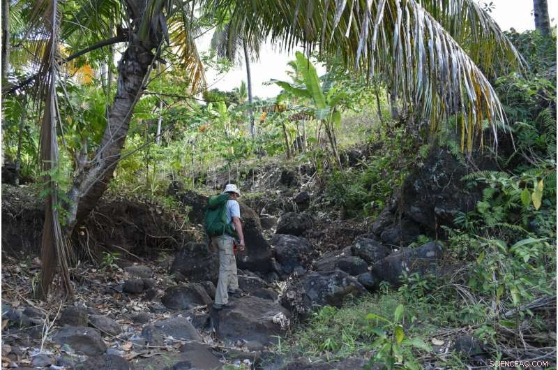 Scientists Discover Mysterious Quartzite Formation on Remote Anjouan Island