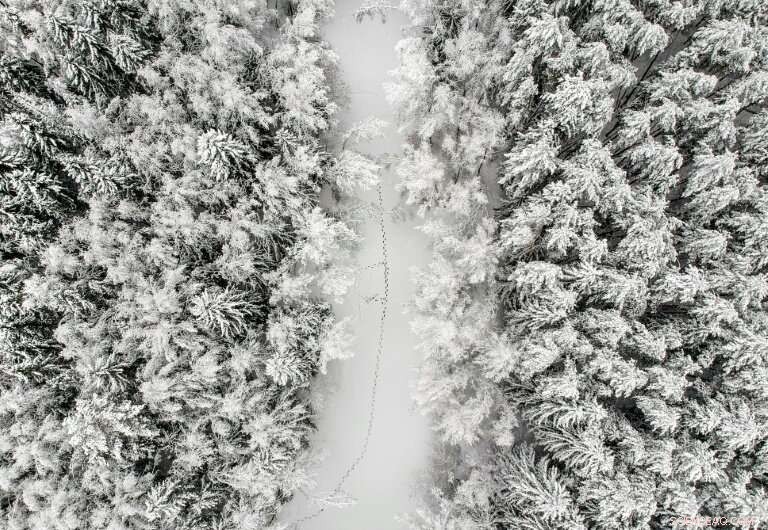 Moscow Shrouded in Record-Breaking Snowfall, Flights Cancelled