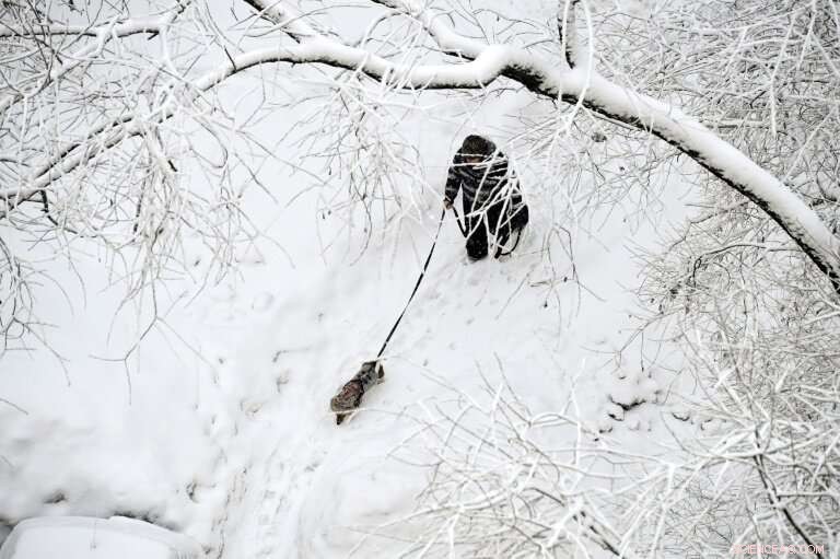 Moscow Shrouded in Record-Breaking Snowfall, Flights Cancelled