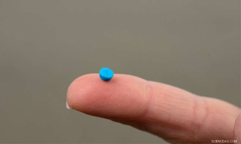 Microplastics Threaten Britain s Grey Seal Populations at Key Nesting Sites