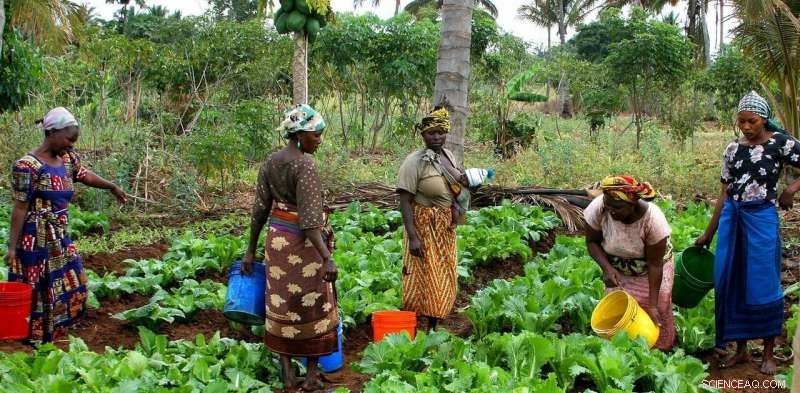 Climate Pioneers: How Small Farmers Drive the Future of Sustainable Agriculture