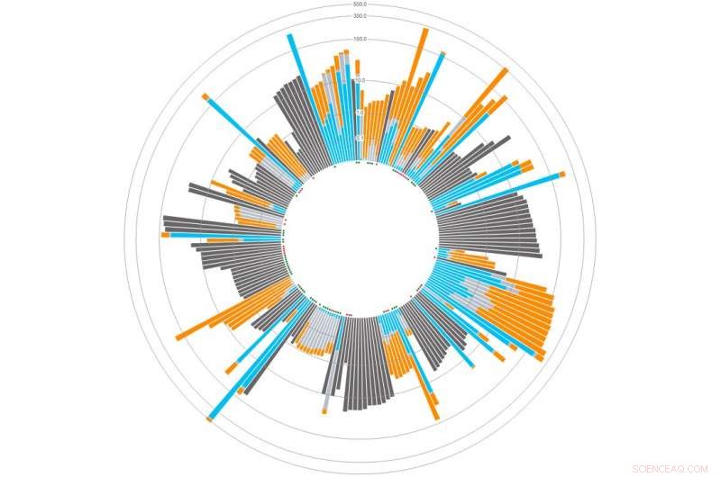 Columbia Researcher Unveils Innovative Tool to Visualize Carbon Footprints of Everyday Products