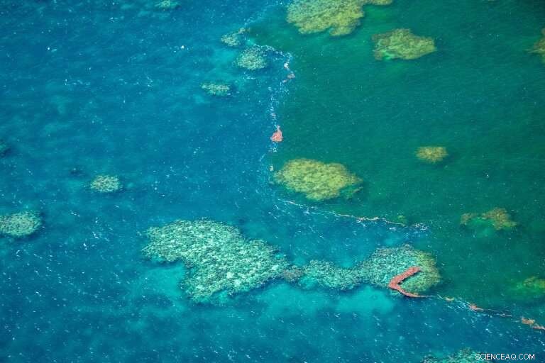 Flood Runoff Threatens Great Barrier Reef: Scientists Warn of Coral Decline