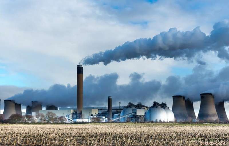 Assessing Carbon Capture at Woodchip-Fired Power Stations: Are They Truly Green Game‑Changers?