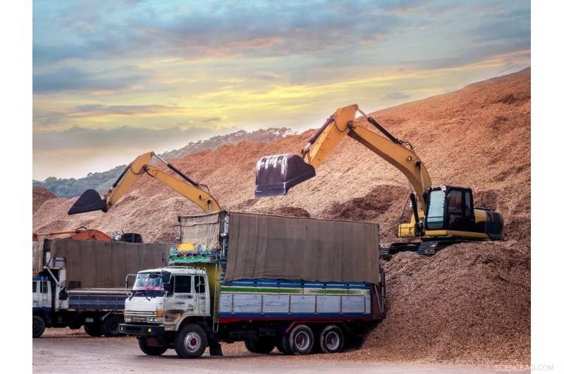 Assessing Carbon Capture at Woodchip-Fired Power Stations: Are They Truly Green Game‑Changers?