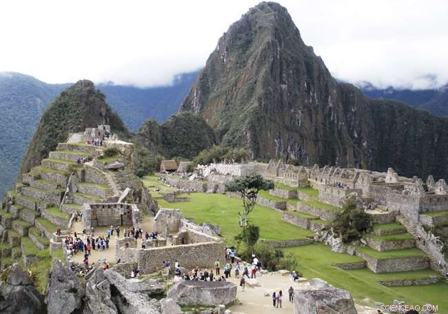 Biocolonizers Threaten Granite Conservation at Machu Picchu