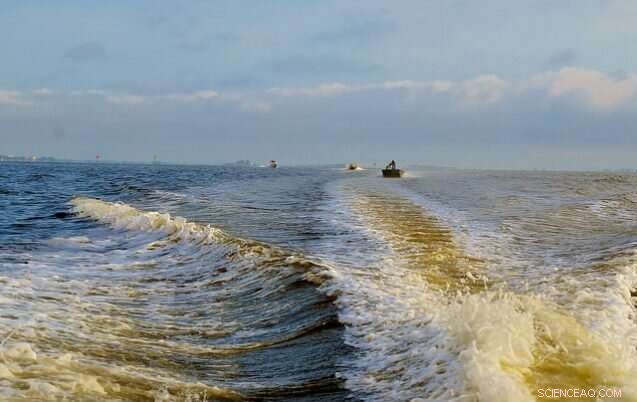 Uncovering the Source of Long Island’s Devastating Brown Tides