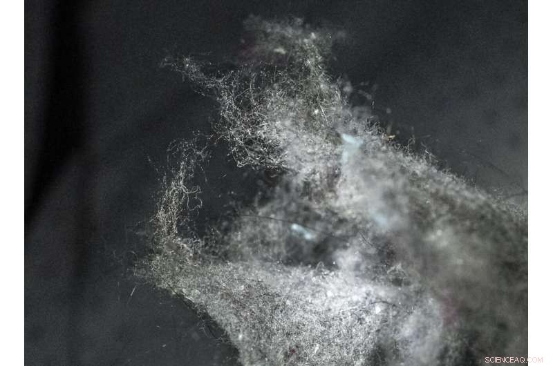 Tiny Fibers Generate Hidden Plastic Pollution