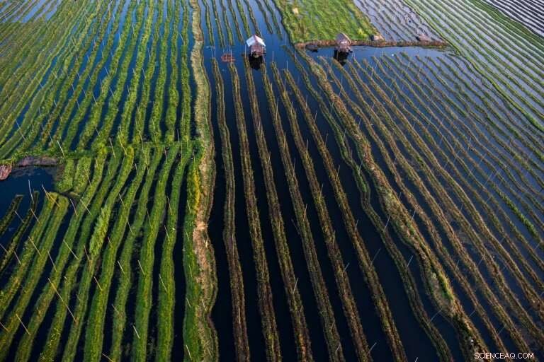 Preserving Inle Lake: The Urgent Race to Protect Myanmar s Iconic Waters