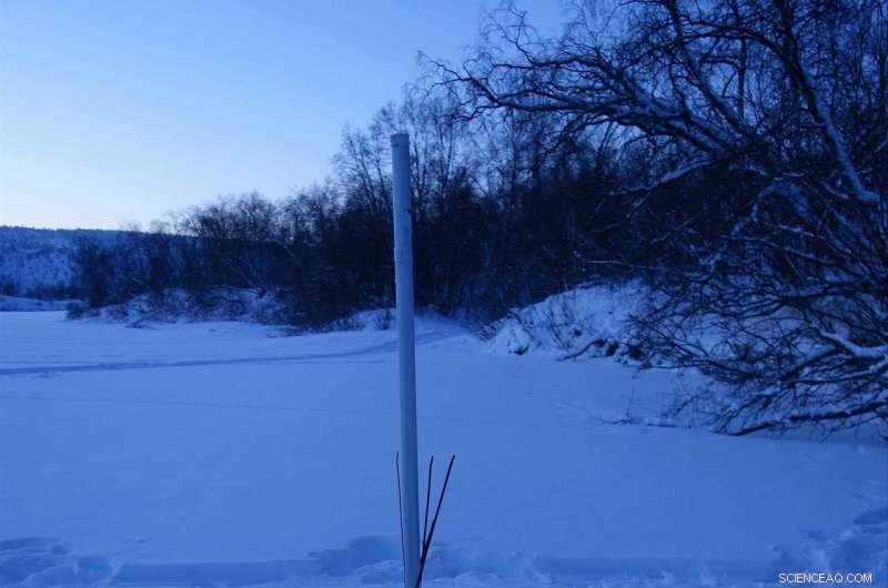 Revealing How Ice Cover Shapes River Flows and Sediment Transport