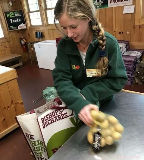 Phasing Out Plastic Bags: A Town‑by‑Town Guide