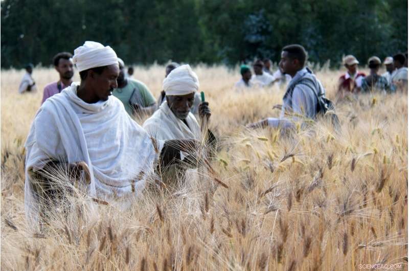 Farmers as Citizen Scientists: Driving Climate Adaptation Success