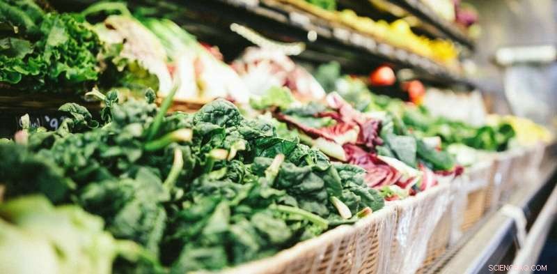 Smart, Affordable Strategies to Keep Your Veggie Plate Full Amid Rising Prices