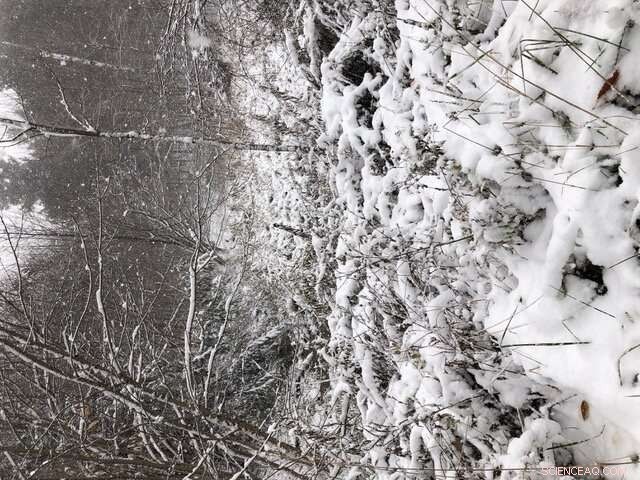 The Crucial Role of Cold-Temperature Variability in Climate Change Assessments