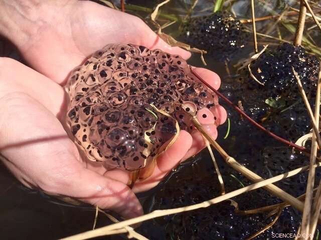 The Crucial Role of Cold-Temperature Variability in Climate Change Assessments