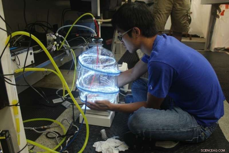 Coastal Waters: Unexpected Hotspots for Nitrogen Fixation