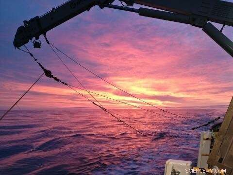 Coastal Waters: Unexpected Hotspots for Nitrogen Fixation