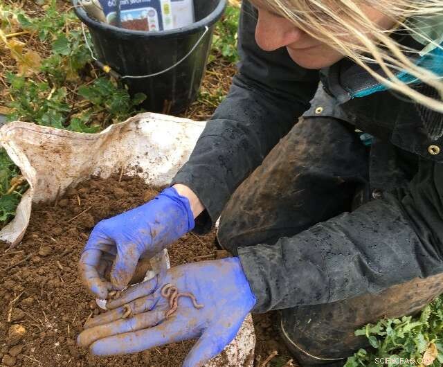 Research on Earthworm Decline Urges English Farmers to Adopt New Farming Practices