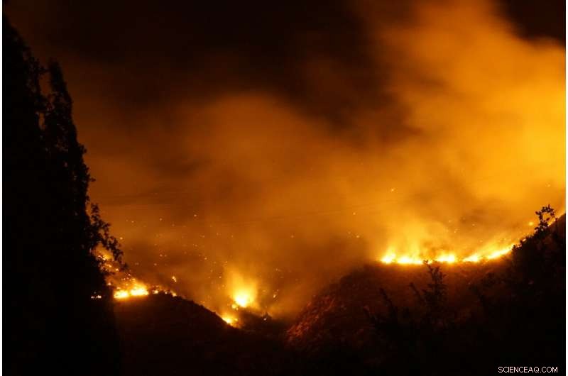Unpredictable Wildfires: The New Devastating Threat That Spreads Beyond Borders