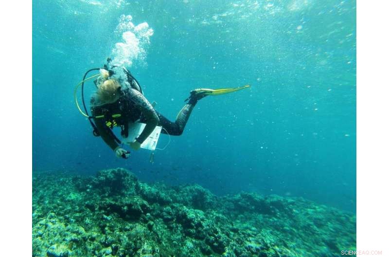How Proximity to Land Shapes Coral Reef Resilience to Climate Change