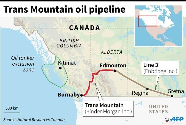 Canada s Energy Regulator Approves Trans Mountain Pipeline Expansion to Pacific, Addressing Whale Safety Concerns