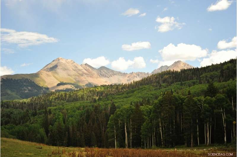 Forecasting Western U.S. Forests  Response to Climate Change