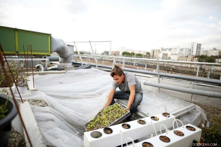 Accelerating Urban Agriculture: Ensuring Viable, Sustainable Food Production