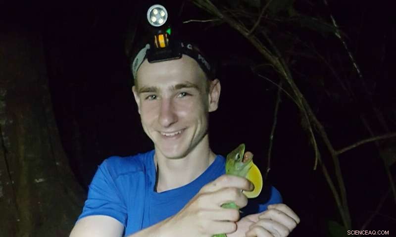 How Elevation Shapes Climate Change Impact, Deforestation Rates, and Species Survival