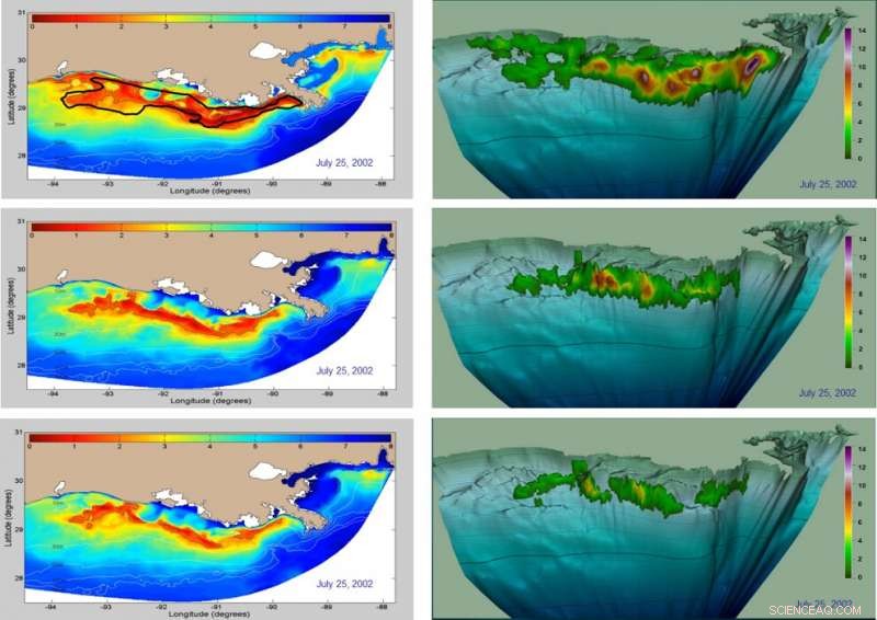 Fish Health Depends More on Hypoxic Volume Than Area in Gulf of Mexico Dead Zones