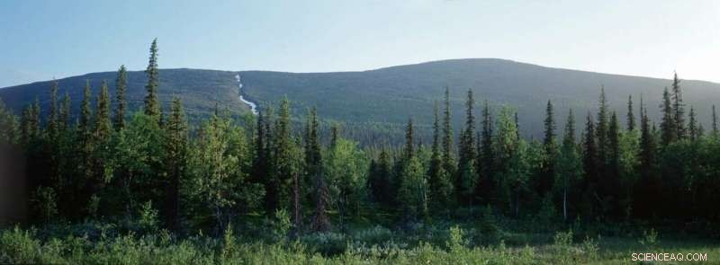 Comprehensive Assessment of Arctic Mining: Balancing Benefits, Risks, and Environmental Impact