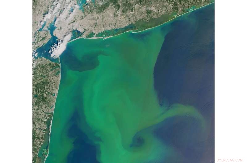 Can Climate Solutions Preserve Water Quality?