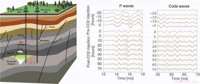 Coda Waves Unveil CO₂ Storage Plume: Real-Time Monitoring Insights