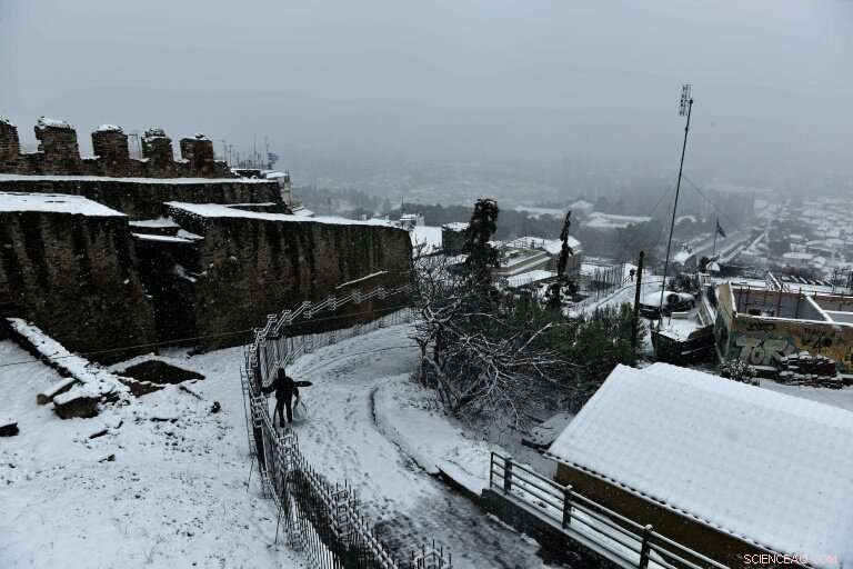 Winter in Western Europe: Record High Temperatures Signal Climate Shift