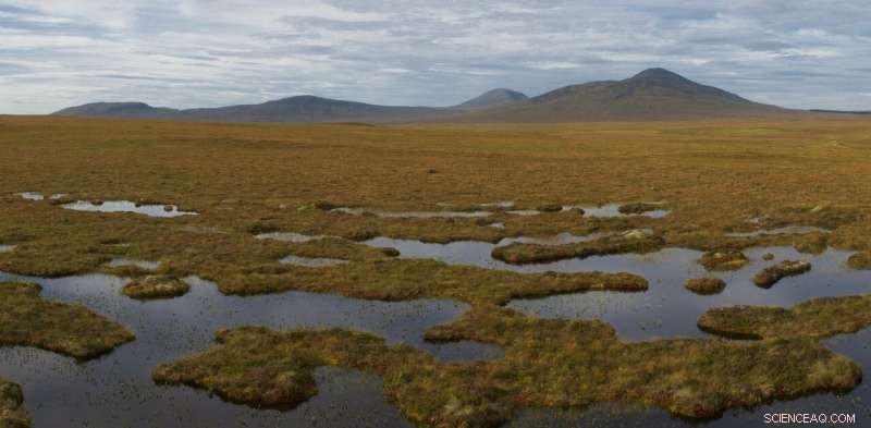 Carbon Farming: Harnessing Agriculture to Feed Humanity and Combat Climate Change