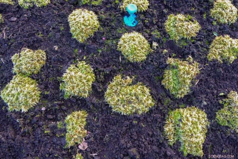 Carbon Farming: Harnessing Agriculture to Feed Humanity and Combat Climate Change