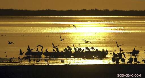 Drought Relief Strategy Across the West Depends on California and Arizona