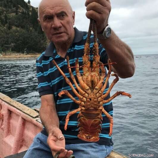 Robinson Crusoe Island Sets New Standard in Conservation